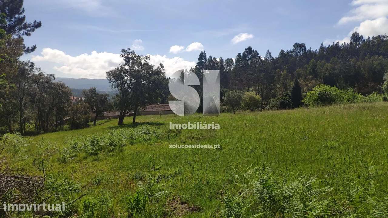 Terreno em Vila Nova de Poiares - Grande imagem: 5/8