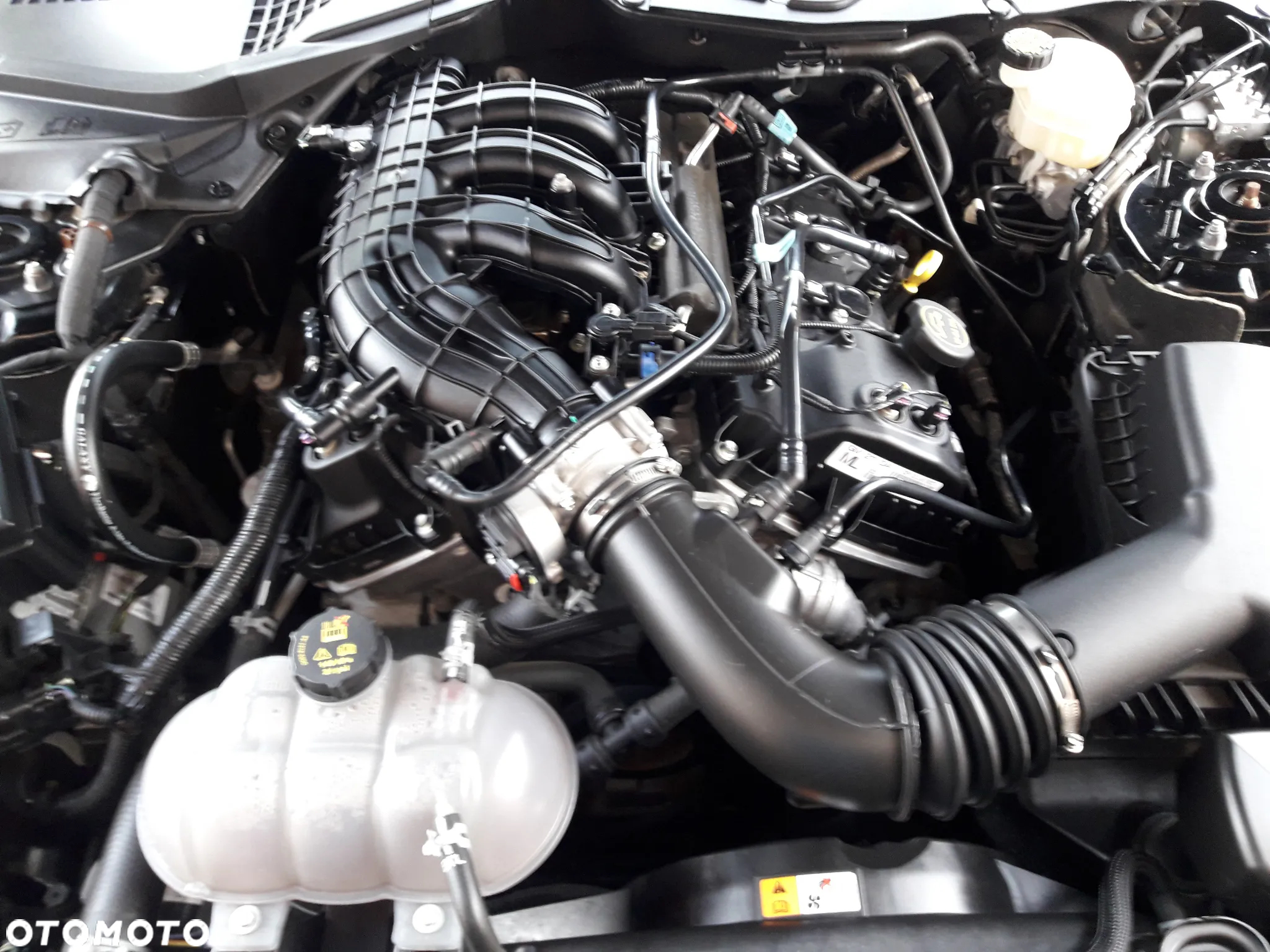 Ford Mustang - 35