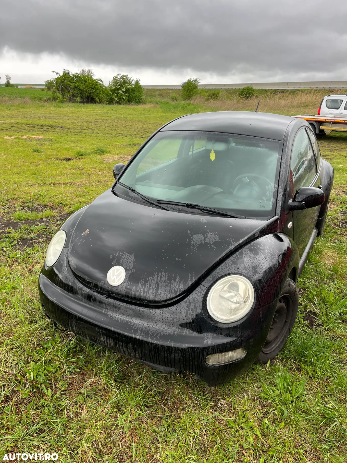 Dezmembrez VW Beetle - 2