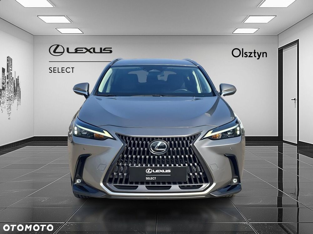 Lexus NX 350h Business AWD - 2