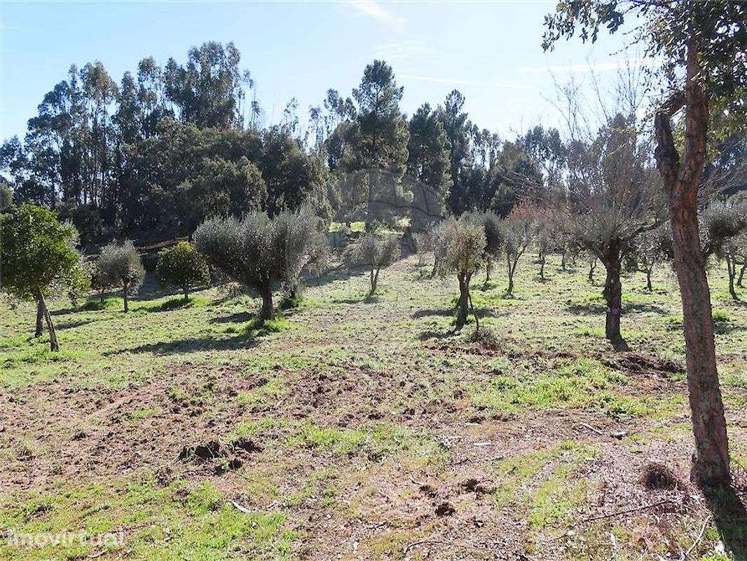 Quinta  para venda - Grande imagem: 4/40