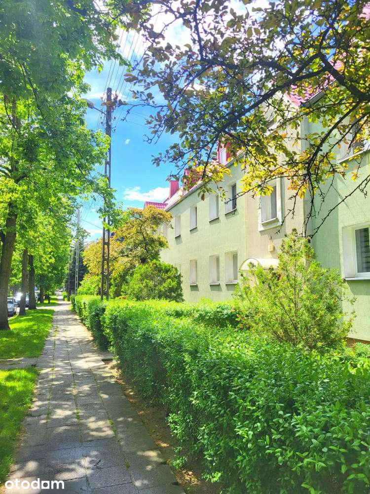 Wolne od zaraz, pow. netto 57m2, bezpieczna i ziel