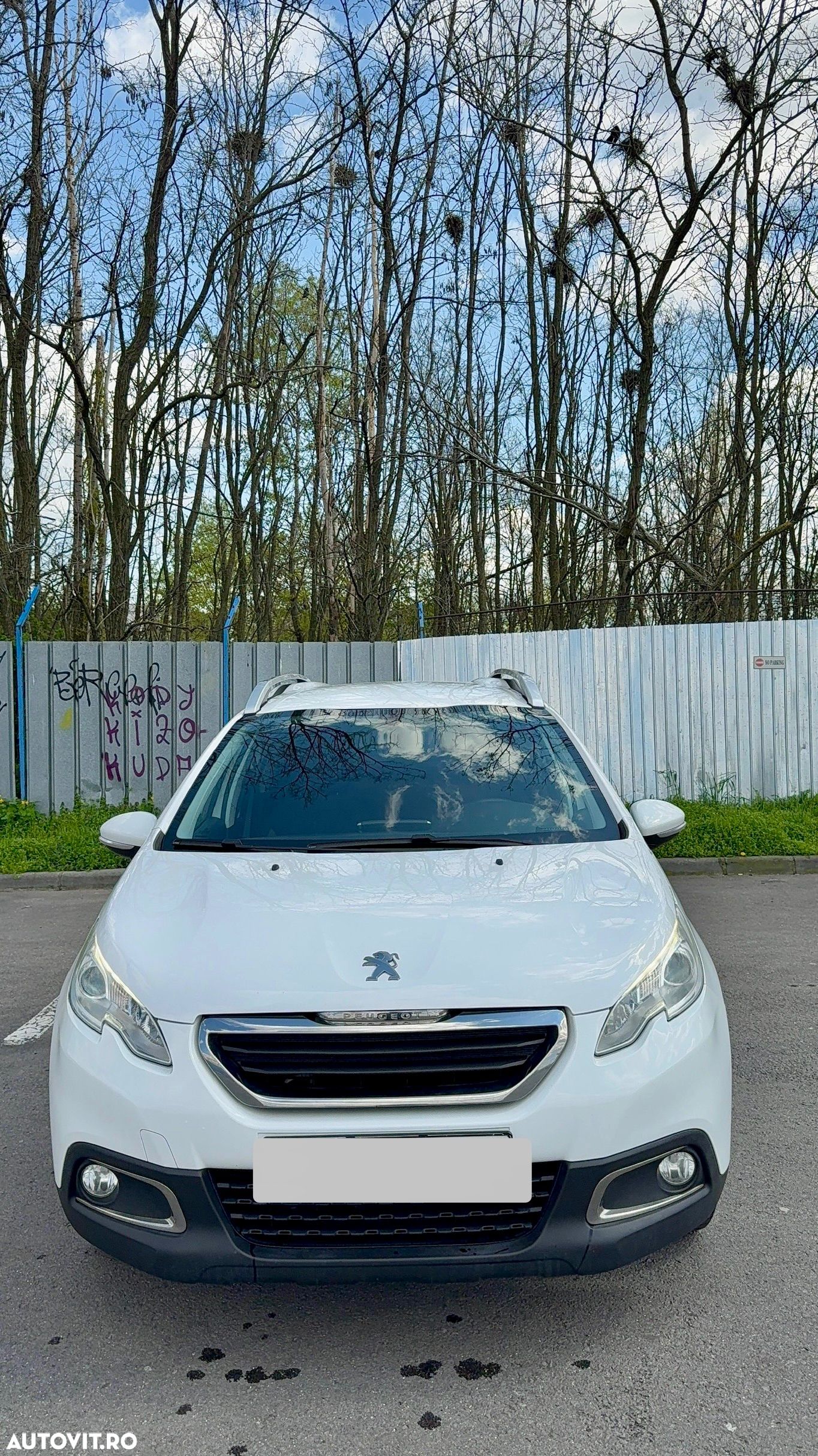 Peugeot 2008 1.6 BlueHDi FAP Active - 1