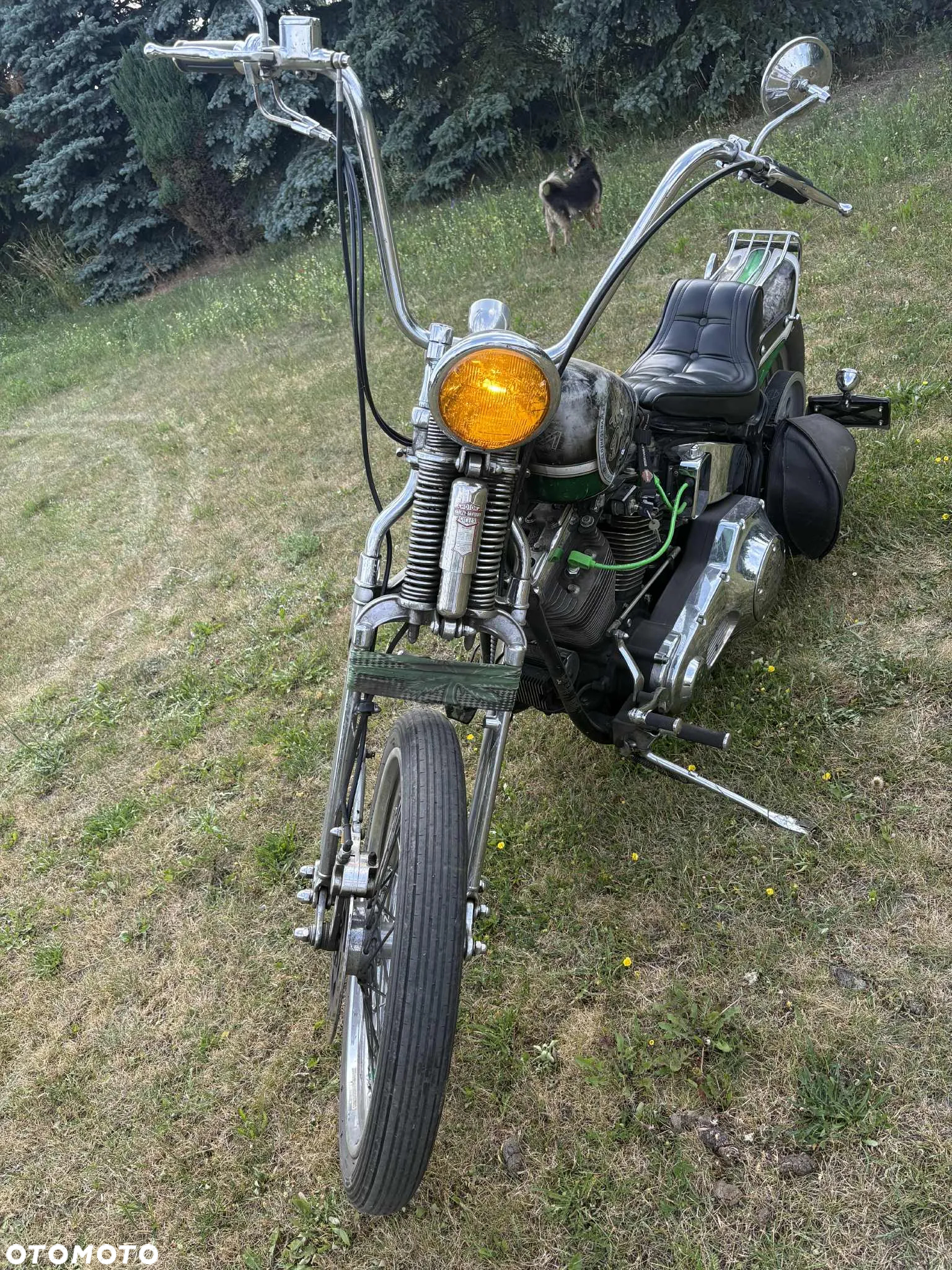 Harley-Davidson Softail - 11