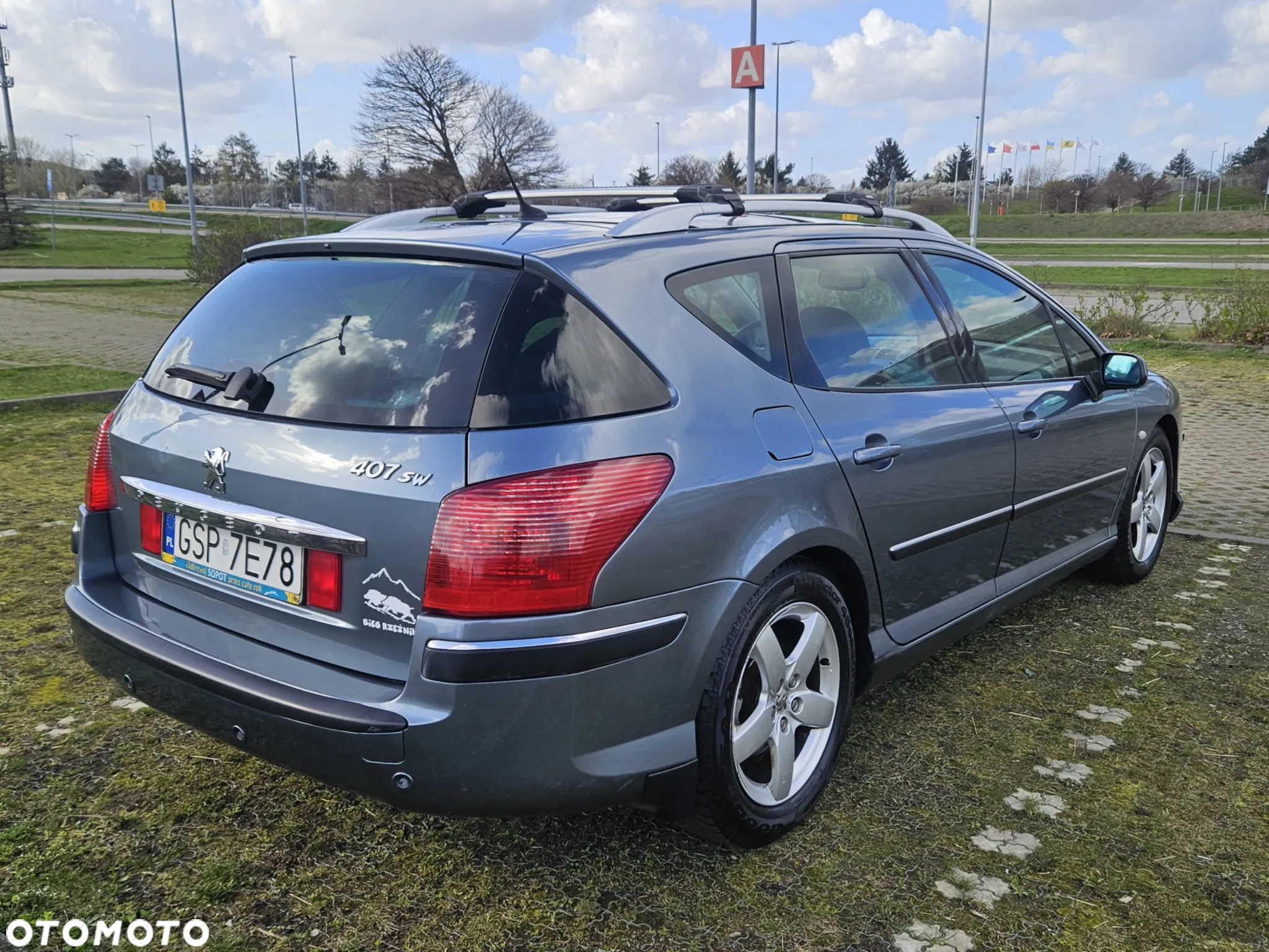 Peugeot 407 - 3