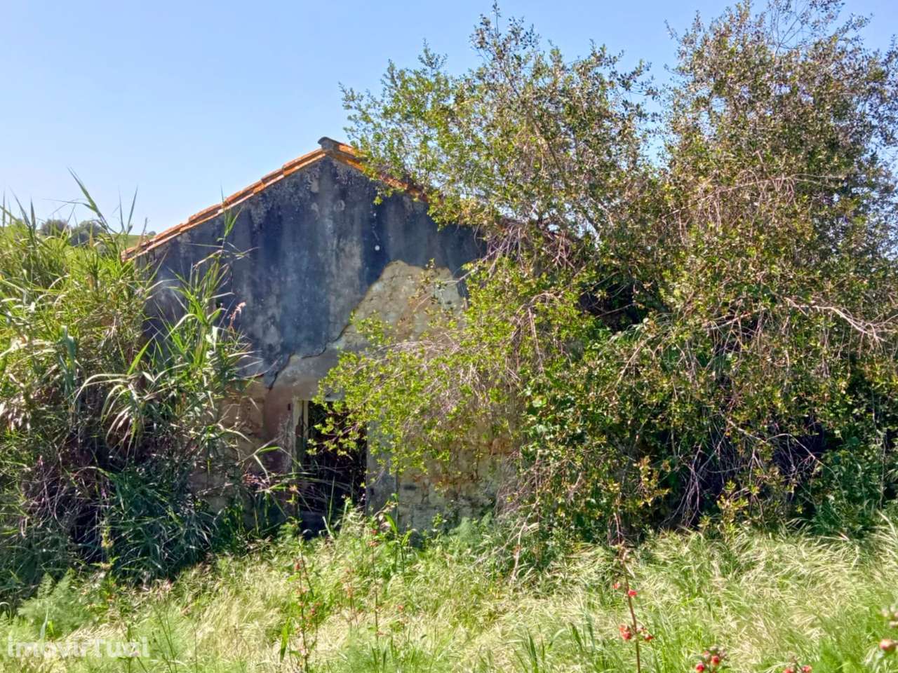 Moradia para reconstruir - Grande imagem: 5/18