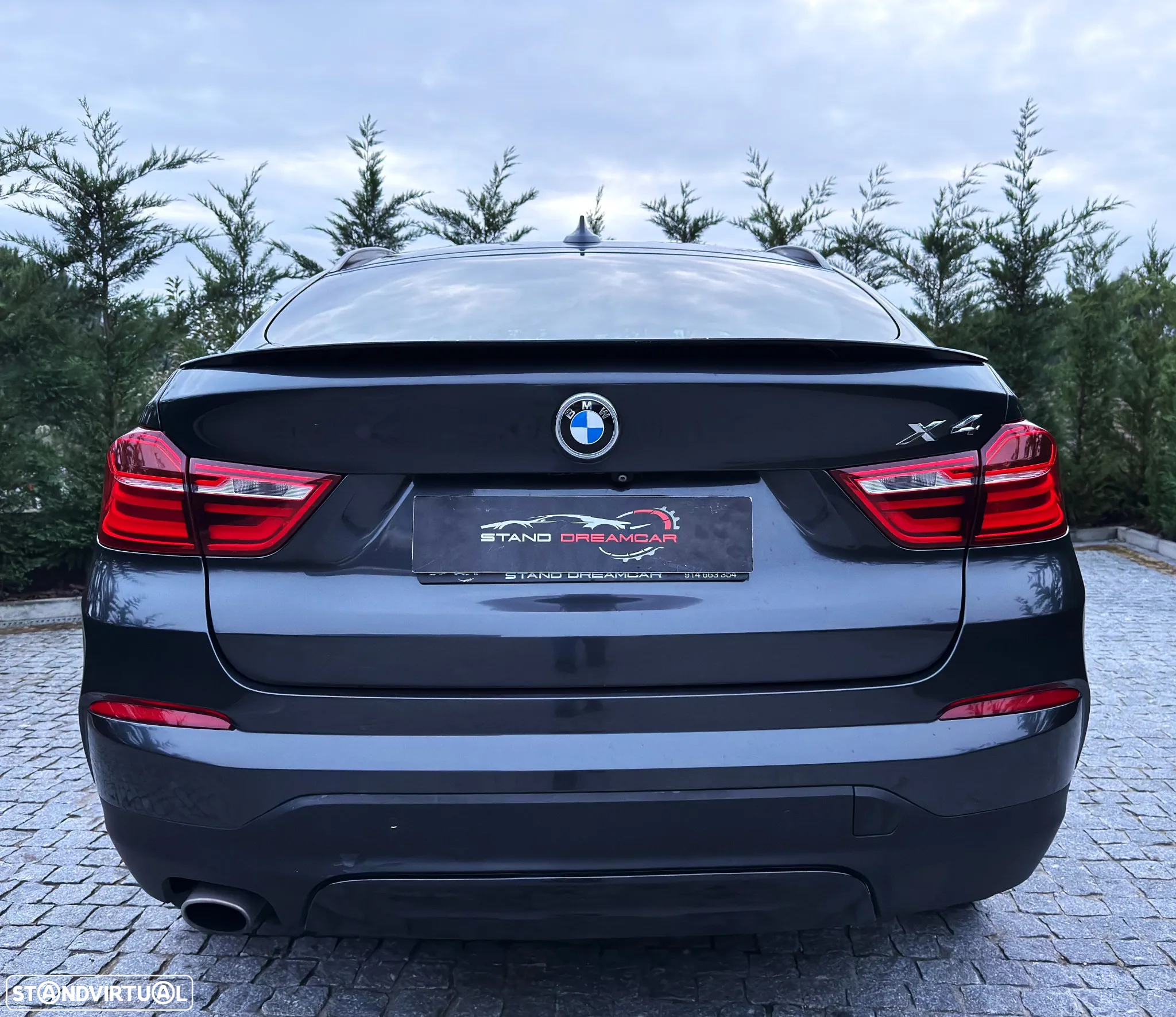 BMW X4 20 d xDrive Auto - 8
