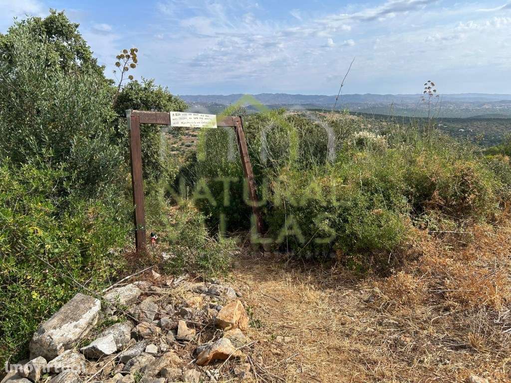 Ruína com Vista Panorâmica e Terreno em Moncarapacho - Grande imagem: 2/6