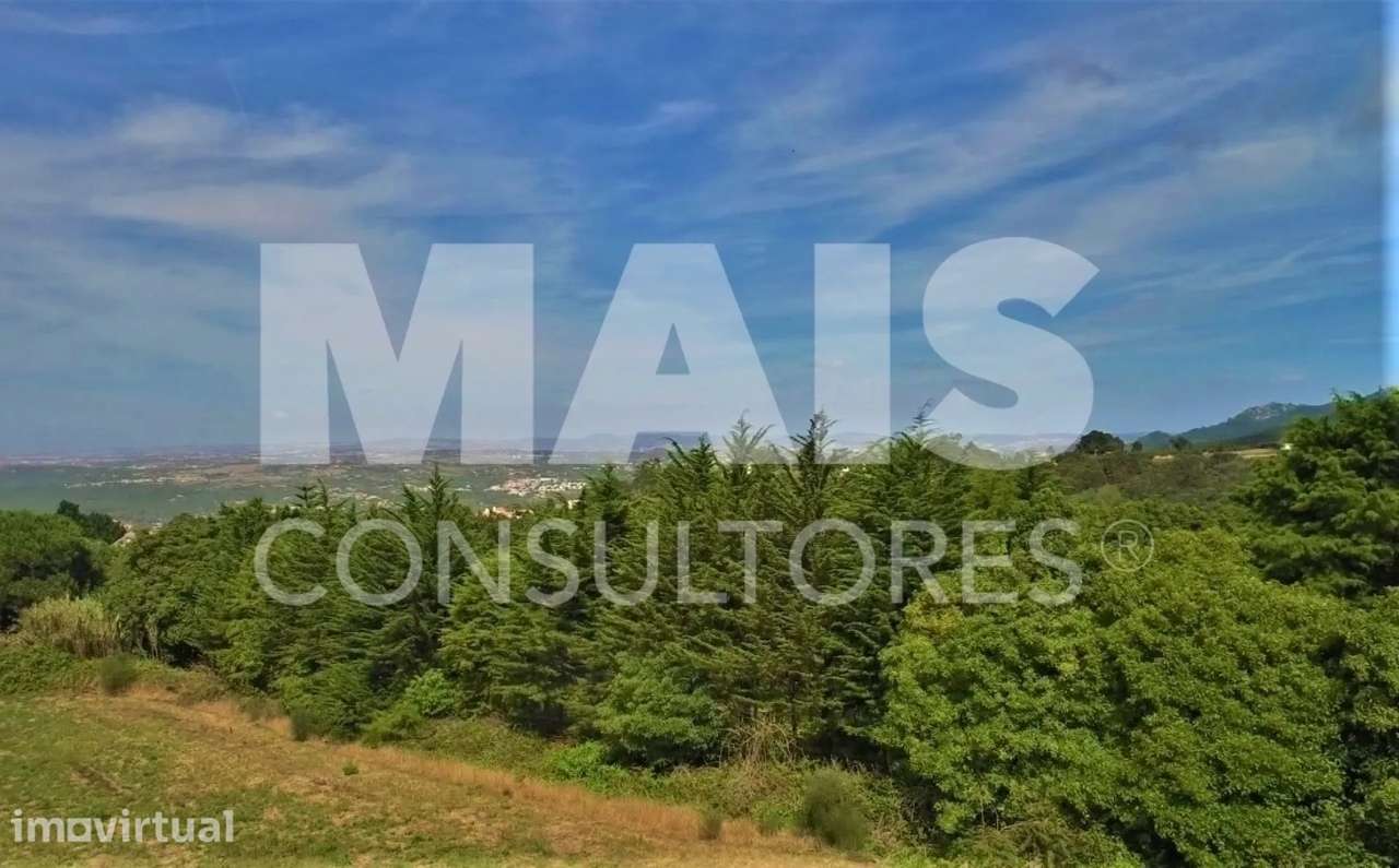 Terreno para Construção com 11640 M2 em Colares, Sintra - Grande imagem: 3/5