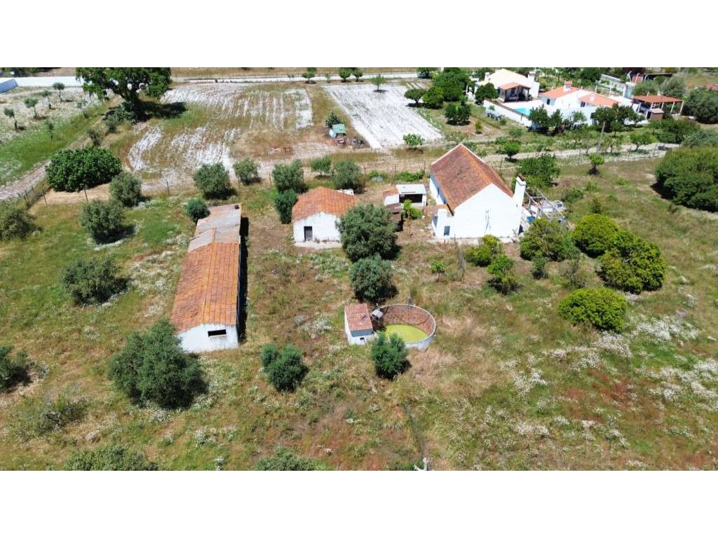 Quinta para Renovar em Grândola - Grande imagem: 5/20