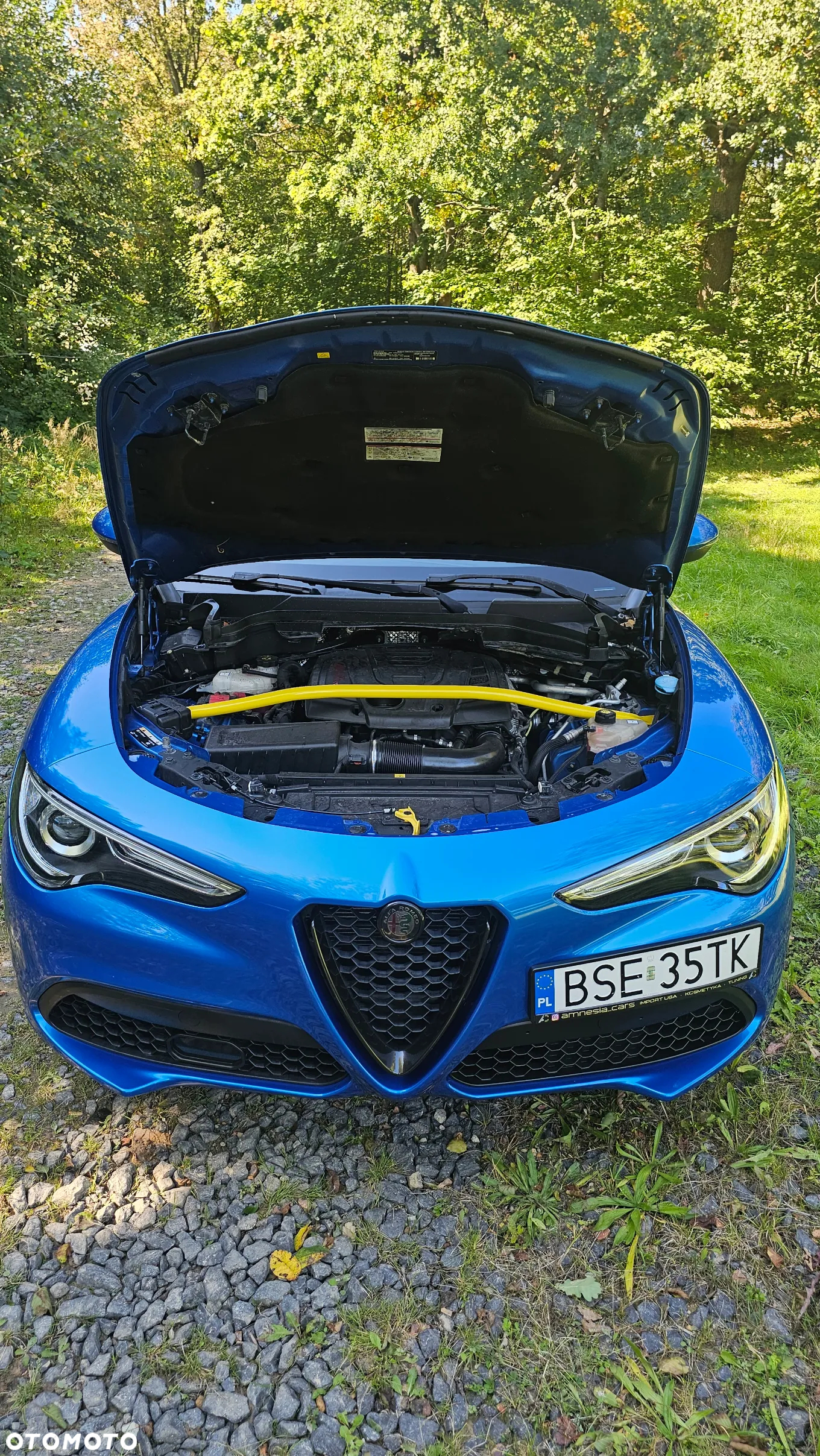 Alfa Romeo Stelvio - 19