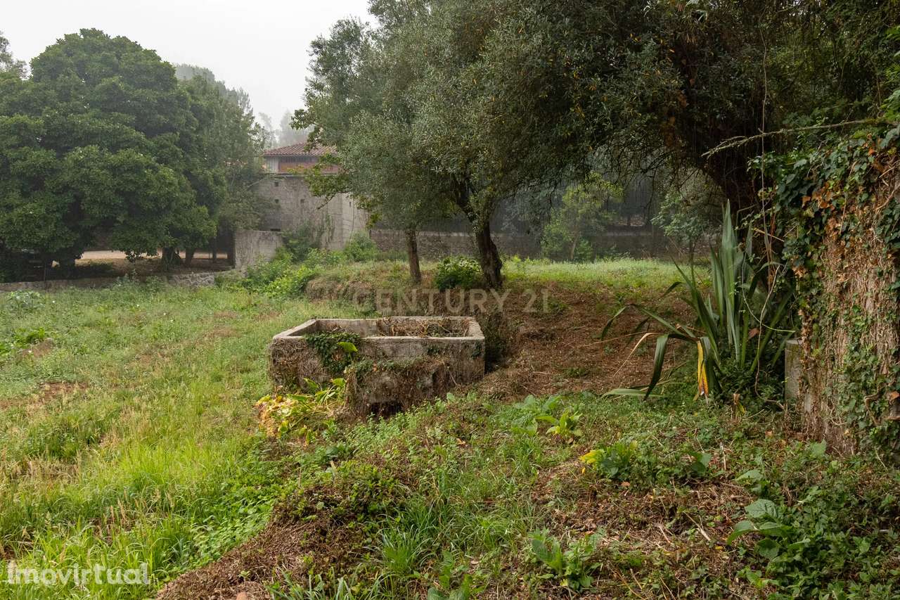 Casa para Recuperação em Cossourado com Vista Campestre - Grande imagem: 3/32