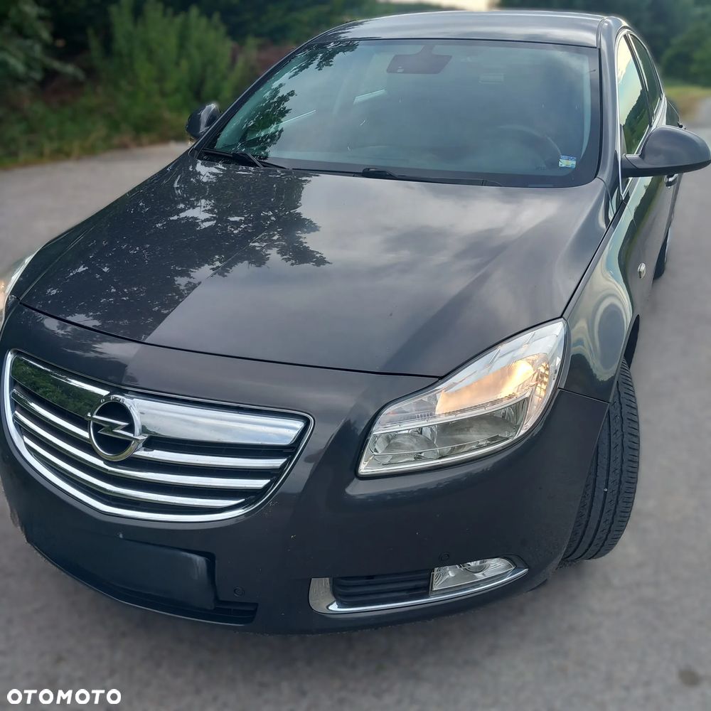 Opel Insignia 2.0 CDTI EcoFLEX S&S - 1