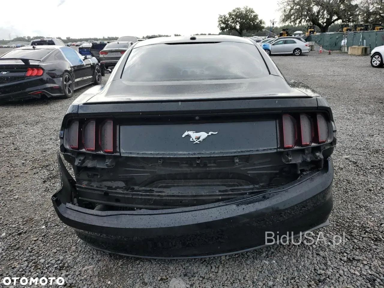 Ford Mustang 2.3 Eco Boost - 6