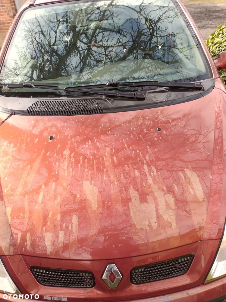 Renault Scenic 1.9 dCi Authentique - 2