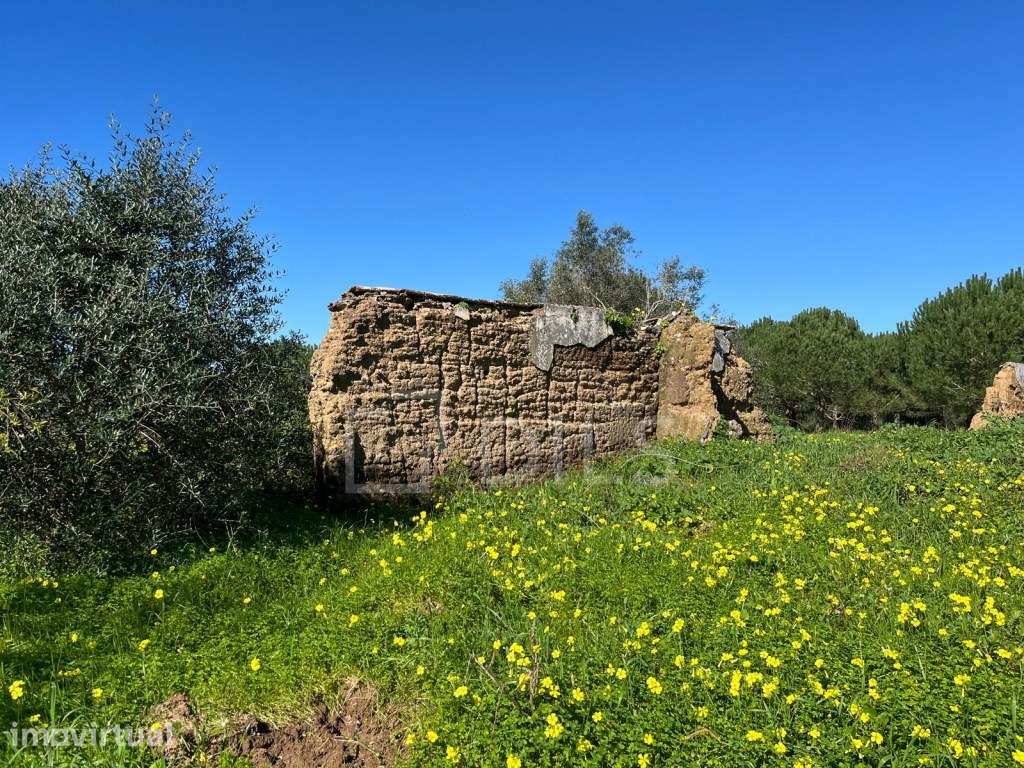 Terreno com PIP, Sobreiras Altas, Melides - Grande imagem: 4/29
