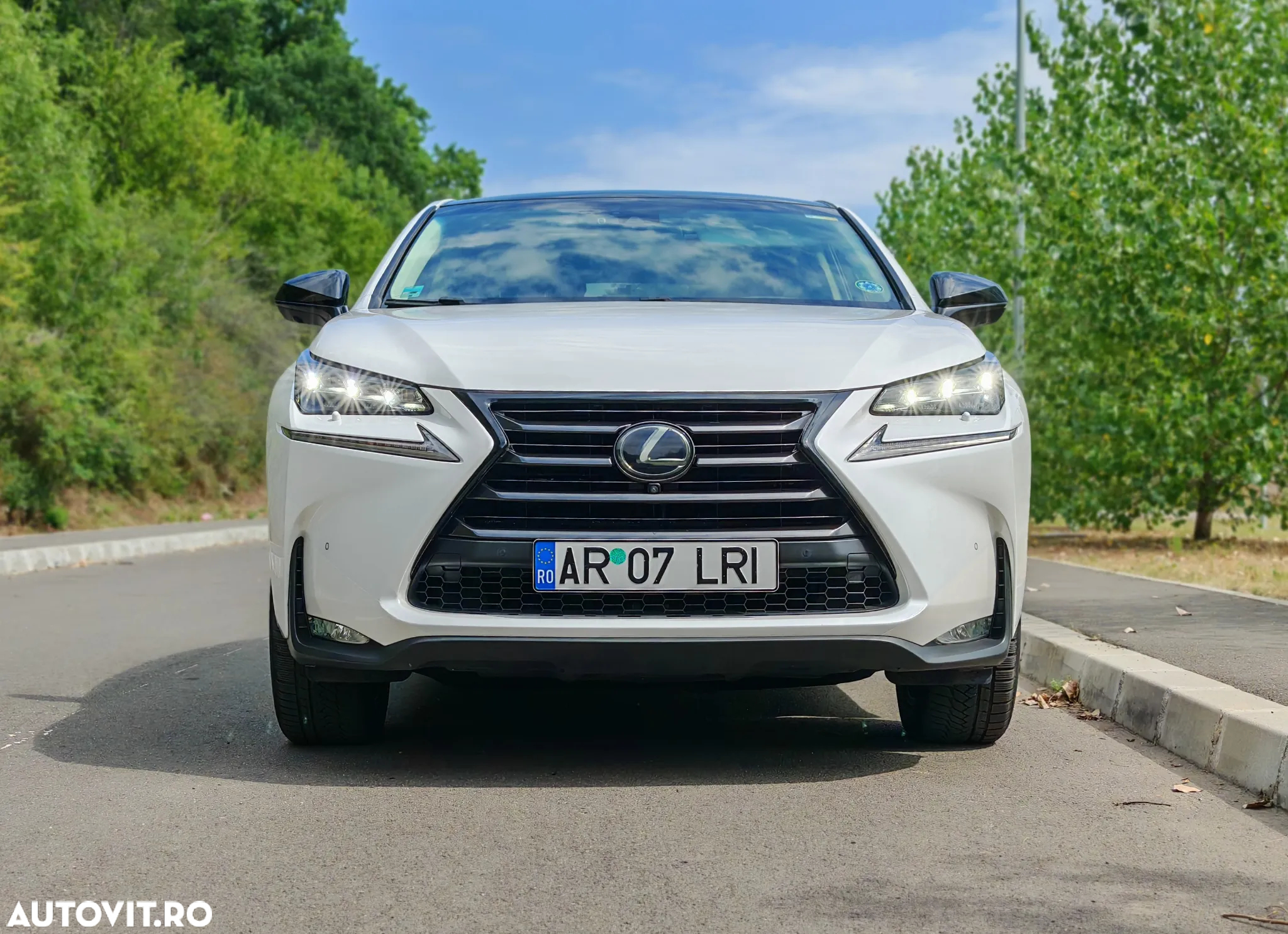 Lexus Seria NX 300h E-FOUR Luxury Line - 2