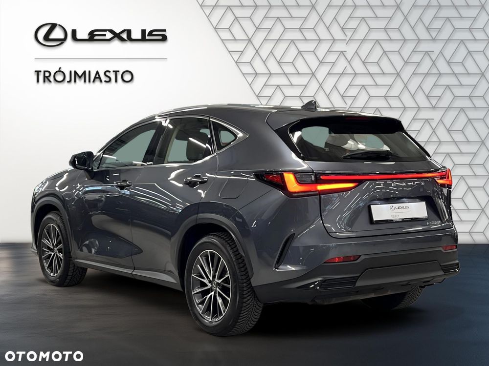Lexus NX 350h Business AWD - 4