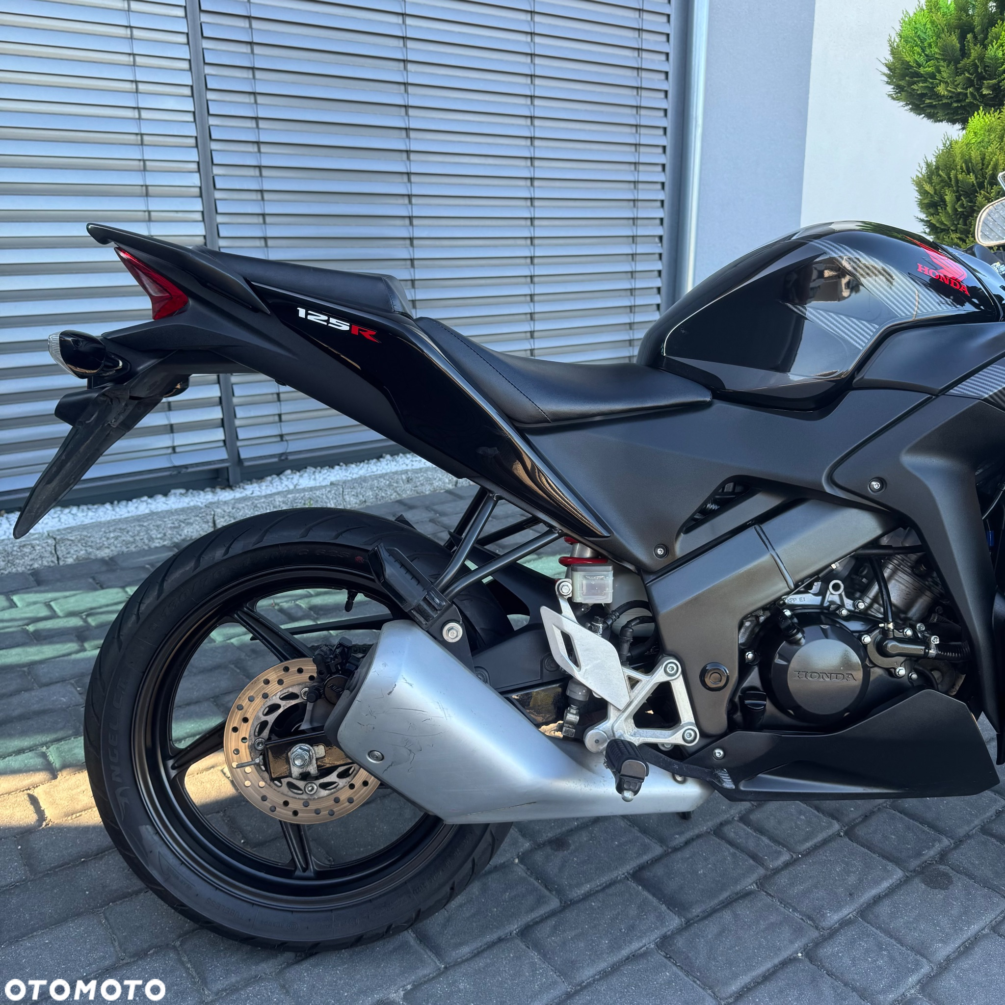Honda CBR - 6