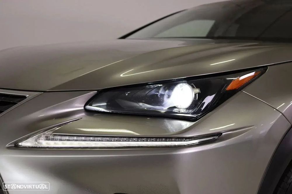 Lexus NX 300h Executive Plus - 15