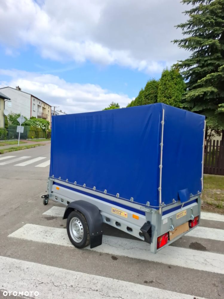 Wiola KRAKUS IDEALNA - 2