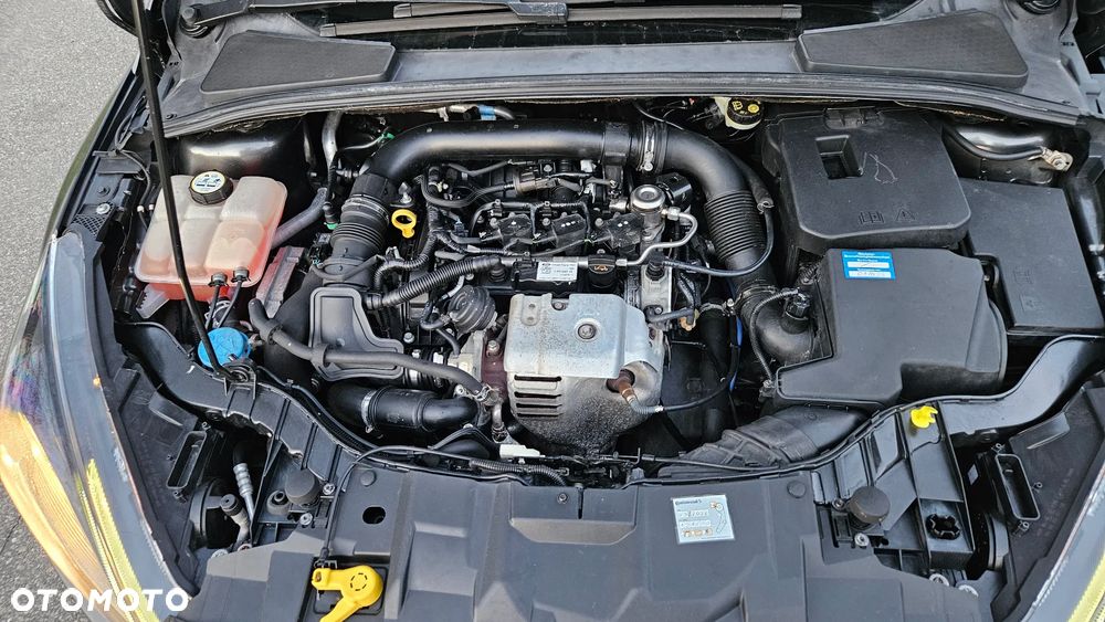 Ford Focus 1.0 EcoBoost Platinium X ASS - 22