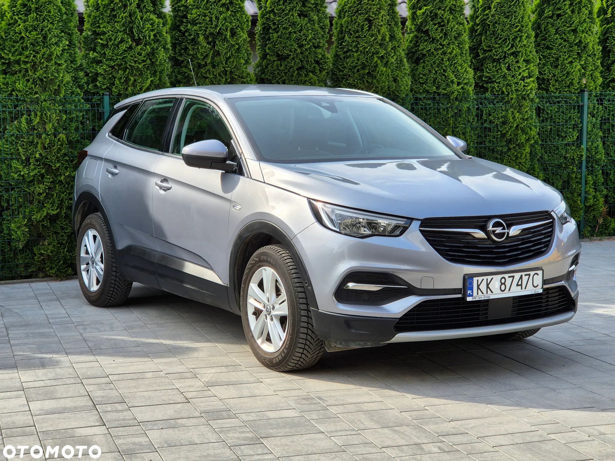 Opel Grandland X - 1