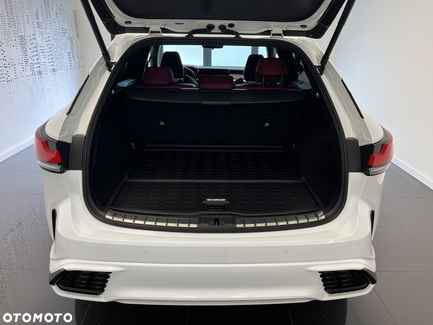 Lexus RX - 9