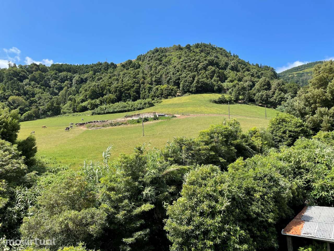 Moradia Isolada com Vista Mar inserida em Quinta - Grande imagem: 4/17