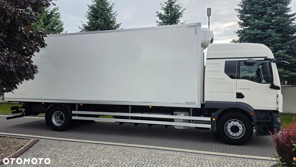 MAN ///TGM///18.290///2022///18000KG ///CHŁODNIA///8.20///20 EUROPALETY///THERMO-KING///T-800 R///IGLOOCAR///STAN BARDZO DOBRY. - 6