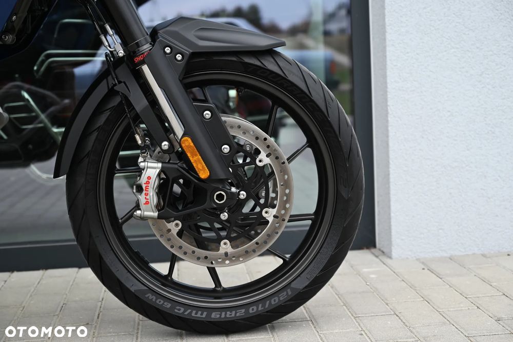 Triumph Tiger - 28