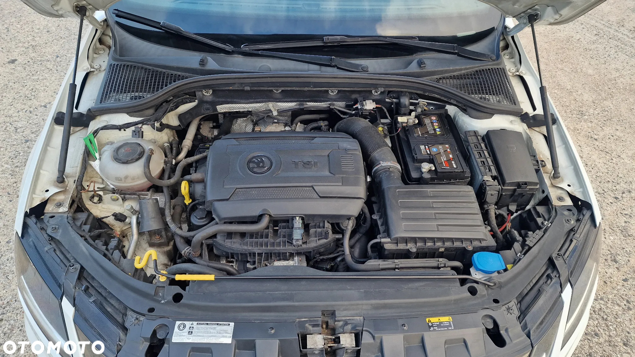 Skoda Octavia 2.0 TSI RS 230 DSG - 13