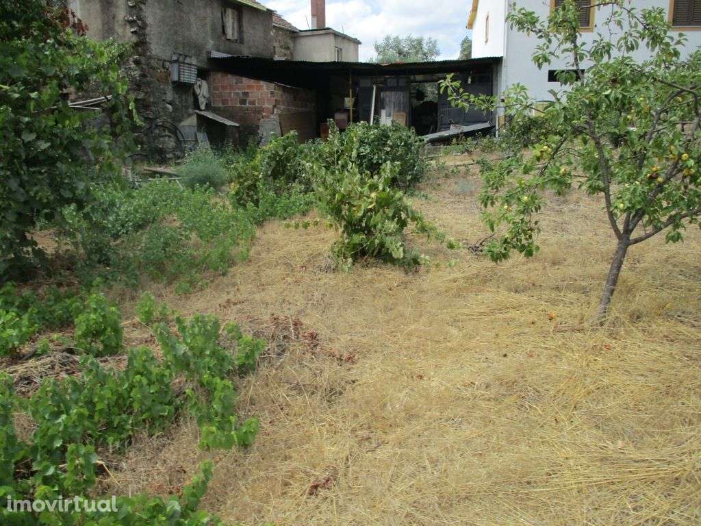 Terreno - Grande imagem: 4/5