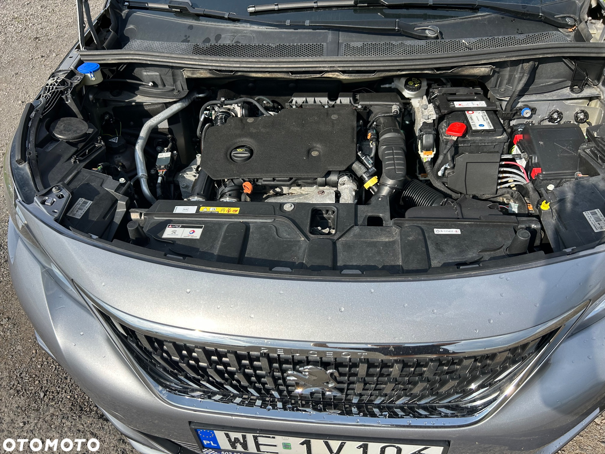 Peugeot 3008 1.5 BlueHDi Allure S&S EAT8 - 13