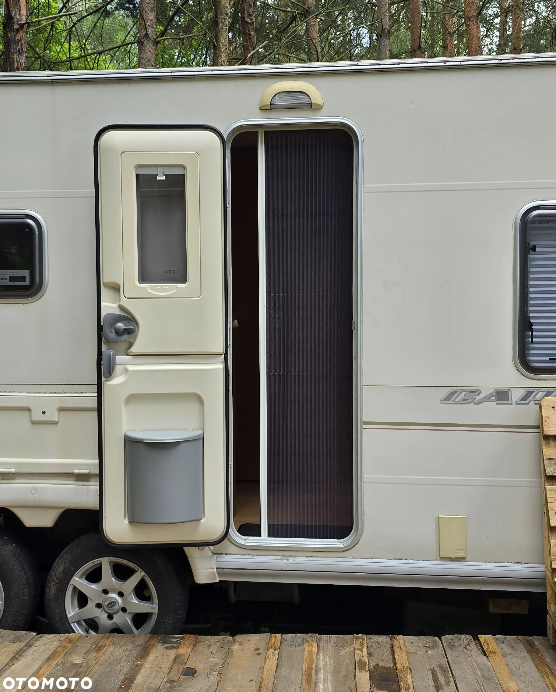 Bailey Seantor Series 6 - 38