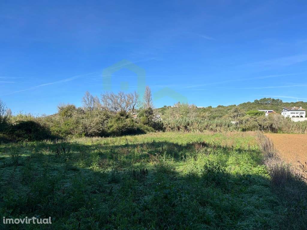 Vende Terreno - Ericeira, A Casa das Casas - Grande imagem: 3/5