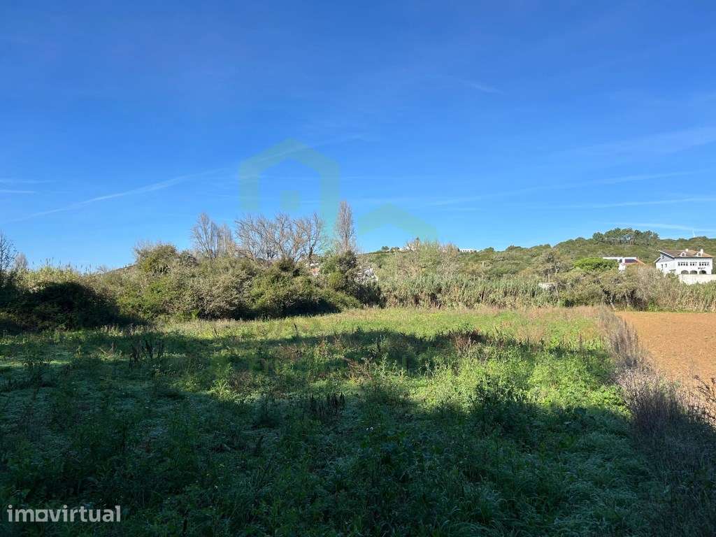 Vende Terreno - Ericeira, A Casa das Casas - Grande imagem: 3/5