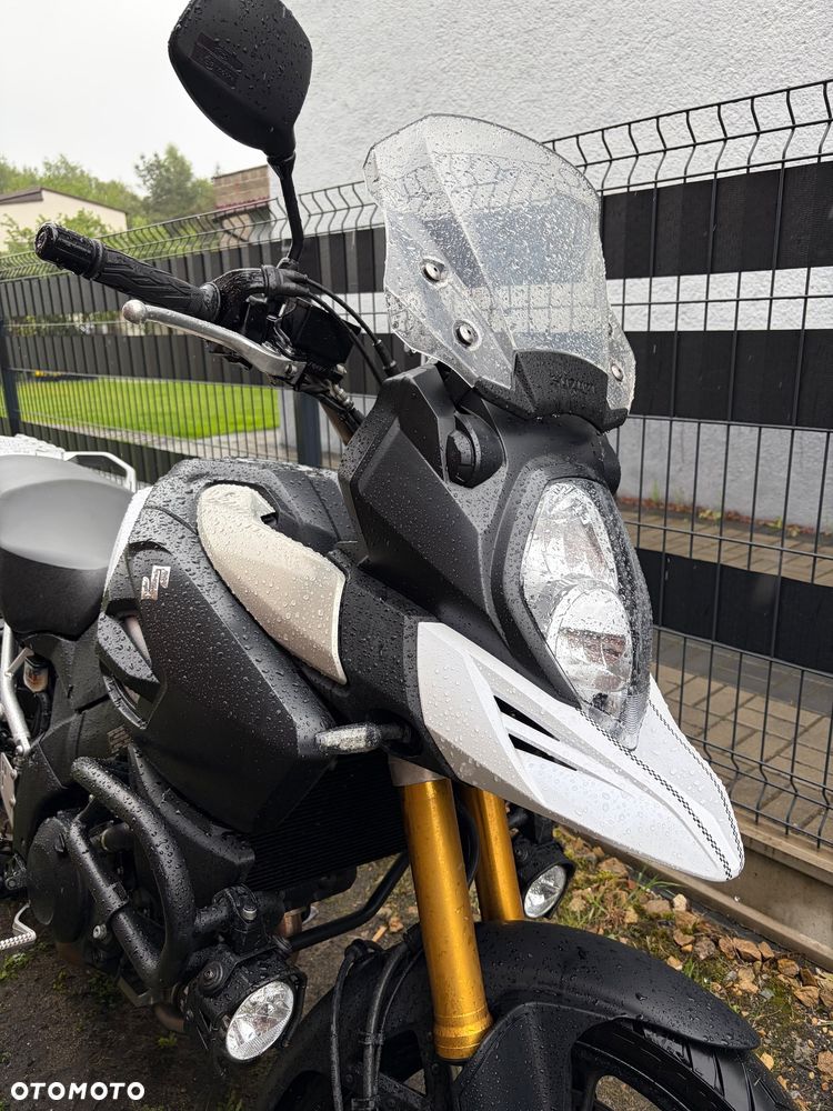 Suzuki DL - 7
