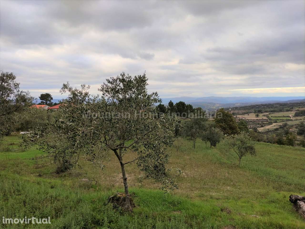 Quintinha  Venda em Figueiró da Serra e Freixo da Serra,Gouveia - Grande imagem: 3/6