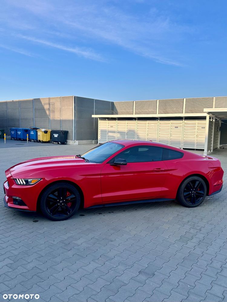 Ford Mustang 2.3 EcoBoost - 5