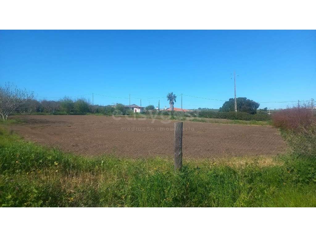 Monte no Alentejo - 4 km de Beja - Grande imagem: 3/26