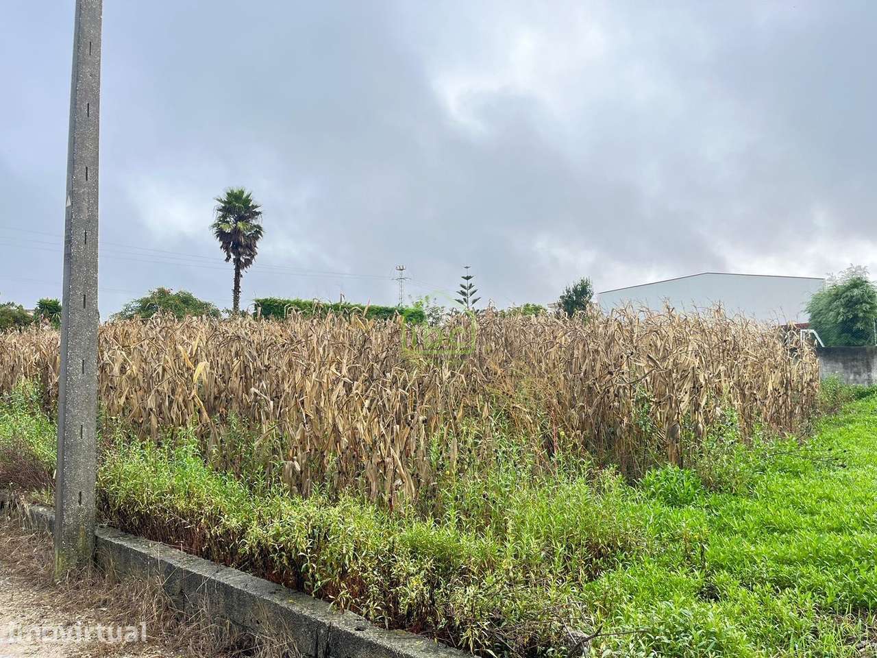 Terreno | Póvoa de Varzim - Grande imagem: 3/20