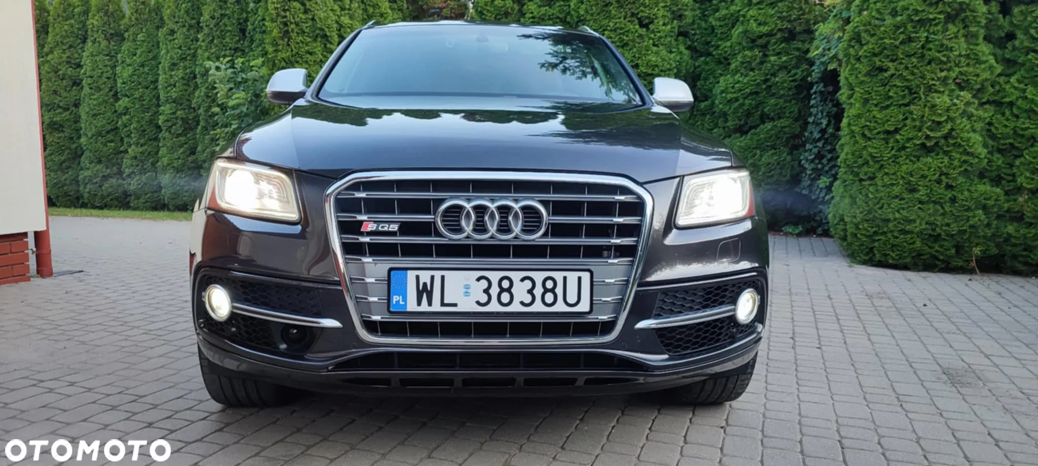 Audi SQ5 3.0 TFSI Quattro Tiptronic - 10