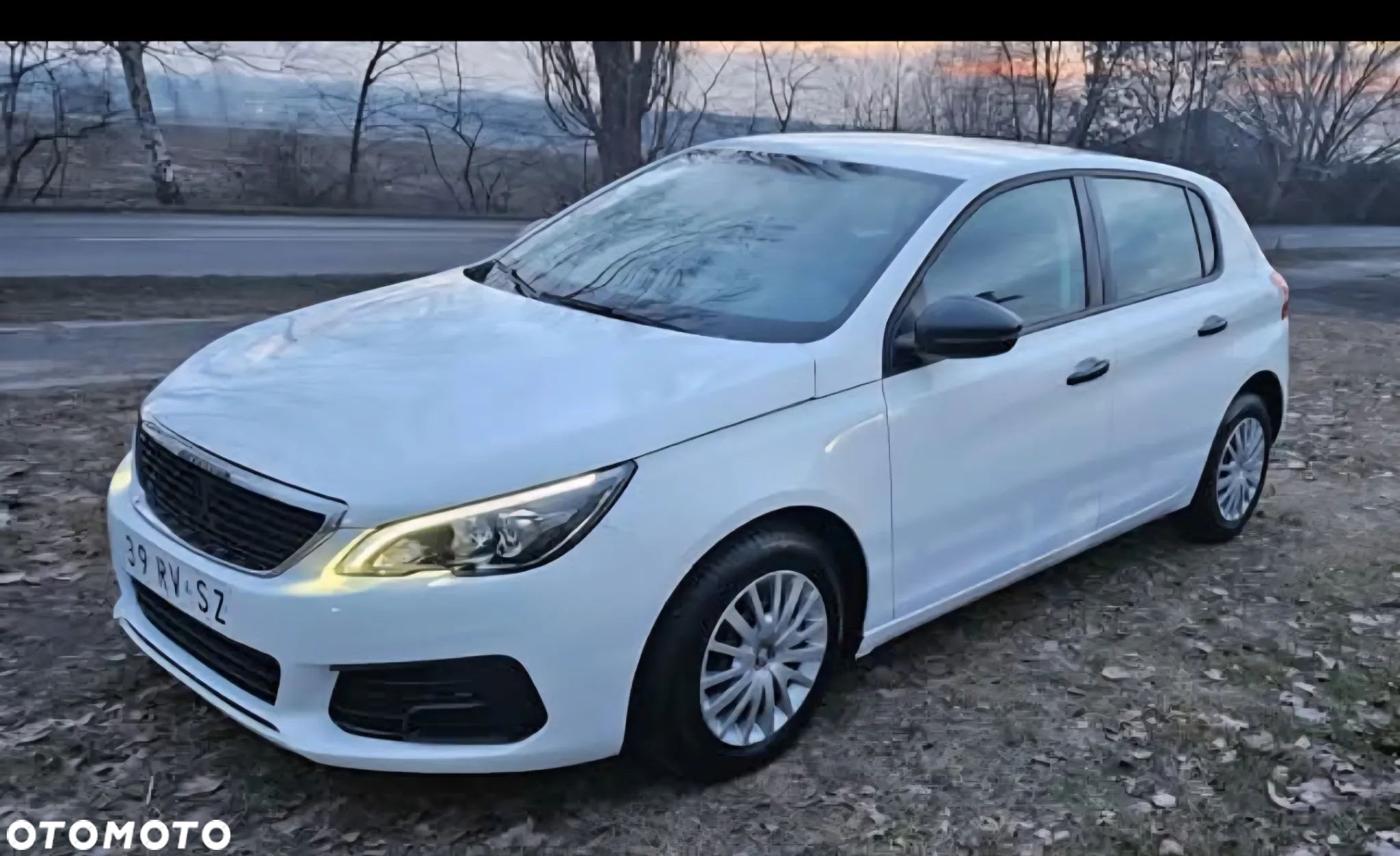 Peugeot 308 BlueHDi FAP 100 Stop & Start Access - 1