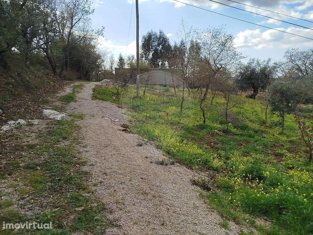 Terreno  para arrendamento - Grande imagem: 2/3