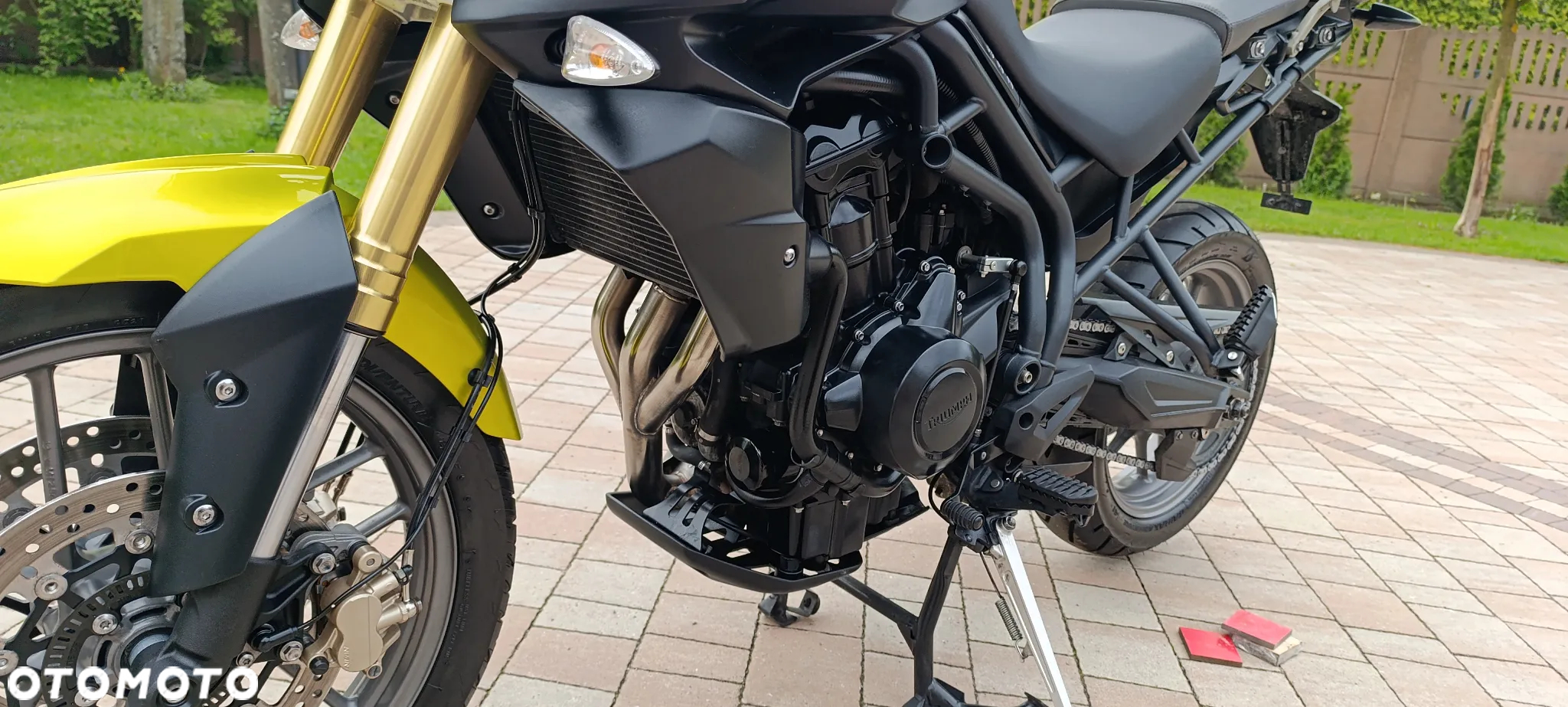 Triumph Tiger - 41