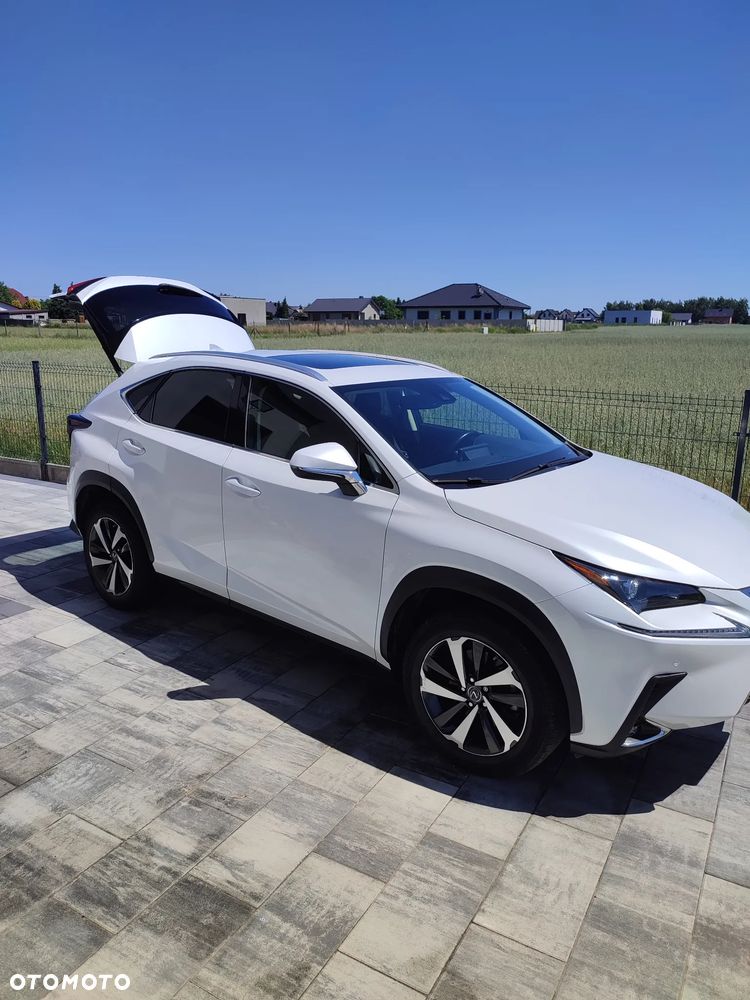 Lexus NX 300 - 2