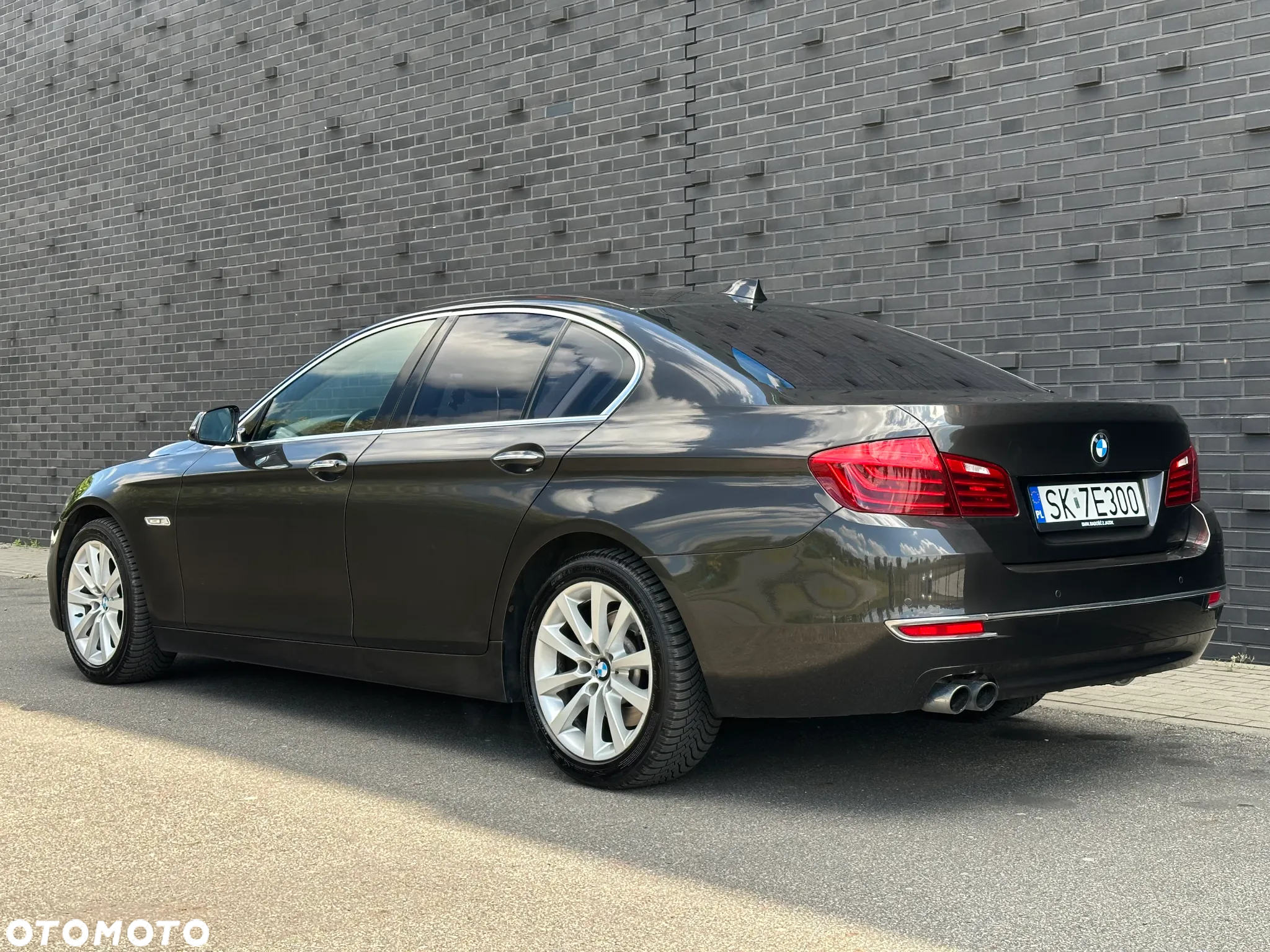 BMW Seria 5 520d Luxury Line - 10