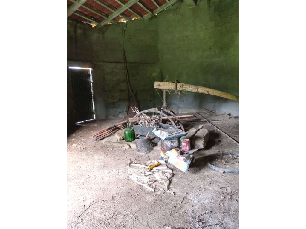 Quinta na Serra da Estrela com Duas Casas em Pedra, Nascentes e um ... - Grande imagem: 4/33