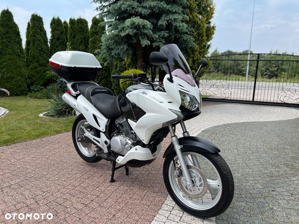 Honda Varadero